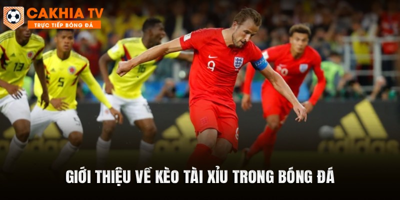 Giới thiệu về kèo tài xỉu trong bóng đá